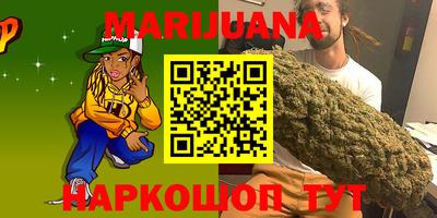 тгк Шадринск