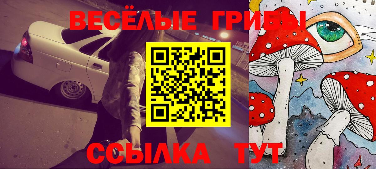 Галлюциногенные грибы мицелий  сколько стоит  Галлюциногенные грибы Psilocybe  Коркино  Вход с VPN 