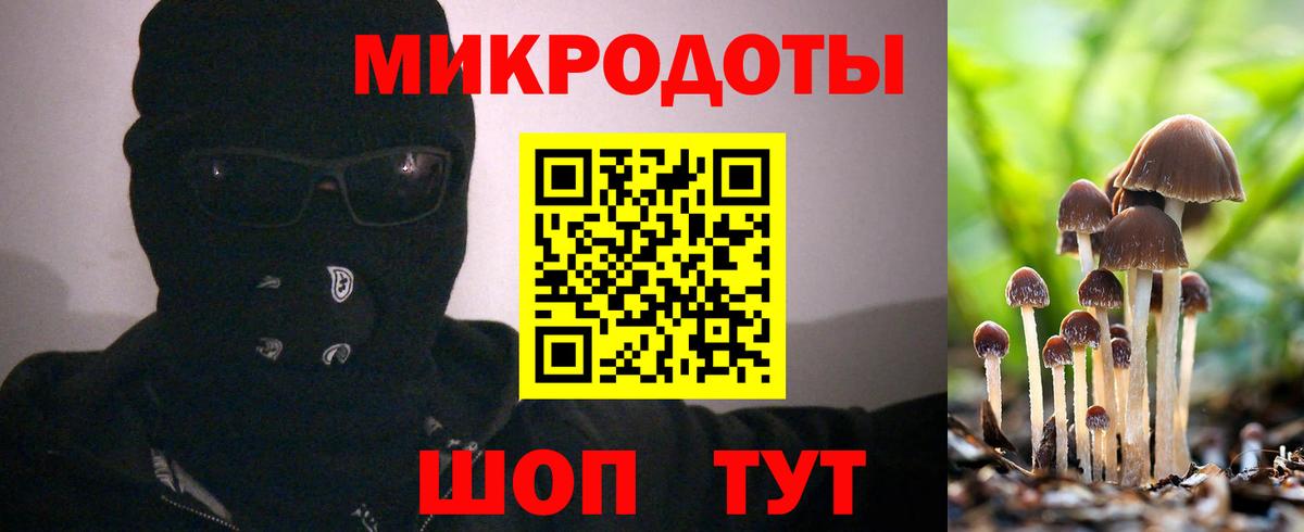 Псилоцибиновые грибы мухоморы Коркино